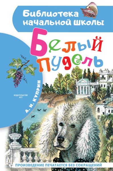 Белый пудель